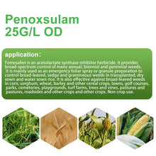Load image into Gallery viewer, China Supplier Agriculture Herbicide Organic BIO 25G/L OD Penoxsulam With Price,Herbicides Selective 24% SC Penoxsulam for Sale