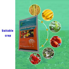 Load image into Gallery viewer, CAS 101-21-3 Chlorpropham Direct Factory Price Wholesale High Quality Powder Effective Plant Growth Regulator