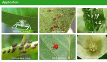 Load image into Gallery viewer, Insecticide Pesticide Acephate 75%SP Acetamiprid 25%Tc 20%SL 20%Sp 25%Wp Insecticide Pest Control Pesticide Agriculture