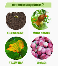 Load image into Gallery viewer, High quality Plant growth hormones Gibberellic acid GA3 90%