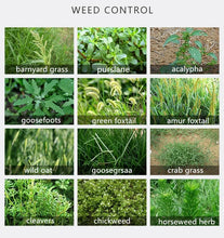 Load image into Gallery viewer, Soybean Field Herbicide Fenoxaprop-P-ethyl 120g/L EC "Fenyl 120EC" Weed Killer in the Field of Soy Bean Cotton Wheat Rapeseed