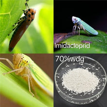 Load image into Gallery viewer, Imidaclopride Insecticide Imidacloprid 70 Chemical Product Agrochemical Pesticide Insecticide Imidacloprid