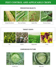 Load image into Gallery viewer, Agrochemical Pesticides Suppliers Price 97% Tech 70%WP 17.8% 20% SL 35% SC Insecticide Imidacloprid