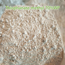 Load image into Gallery viewer, High Quality 70% WP 50% SL Fungicide Thiophanate Methyl
