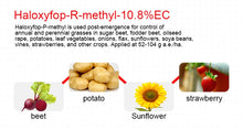 Load image into Gallery viewer, Top Quality Factory Price Hot Sale for Haloxyfop-R-methyl 108g/l