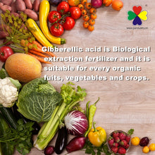 Load image into Gallery viewer, High quality Plant growth hormones Gibberellic acid GA3 90%