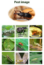Load image into Gallery viewer, 70% Malathions Liquid Insecticide Effective Acaricide Stored Grain Scale Insects Rose Aphid Whitefly Green Blind Bug Pesticide