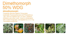 Load image into Gallery viewer, Agrochemical High Quality Fungicide Dimethomorph 50%Wdg CAS 110488-70-5