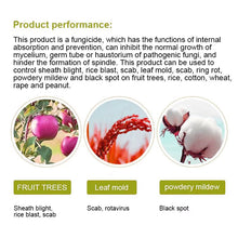 Load image into Gallery viewer, High Quality 70% WP 50% SL Fungicide Thiophanate Methyl