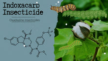 Load image into Gallery viewer, High Effective Insecticide Kill Insects Indoxacarb 30% WG Wholesale