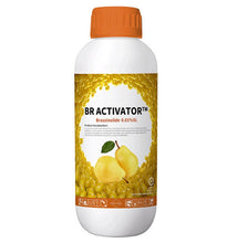 Load image into Gallery viewer, High Quality Cppu Plant Growth Regulator Brassinolide