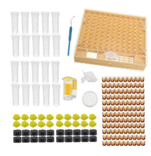 Load image into Gallery viewer, Wholesale Bee Raising Tools Queen Raising Box Queen Cell Cups Insect Removing Needle Marking Bottle Set Bee Bee Hive Accessories