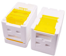 Load image into Gallery viewer, 3 Box Plastic Feeder Foam Mini Bee Mating Box Beekeeping Beehive Wholesale