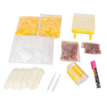 Load image into Gallery viewer, Wholesale Beekeeping Tools 358-piece Set European Queen Bee Incubator Set Queen Bee Cage Marker Bottle