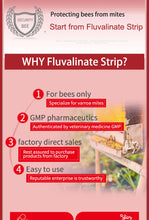 Load image into Gallery viewer, Wangshi Manufacturer 10 Strips per Bag MANJING Fluvalinate Strip Killing Bee Varroa Mites for Beekeepers