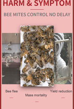 Load image into Gallery viewer, Wangshi Manufacturer 10 Strips per Bag MANJING Fluvalinate Strip Killing Bee Varroa Mites for Beekeepers