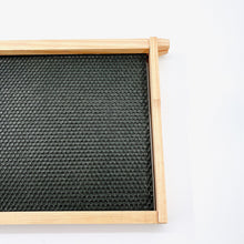 Load image into Gallery viewer, 480*230mm Wax Sprayed Plastic Nest Base with Wood Frame Beeswax Beehive Beehive Beekeeping