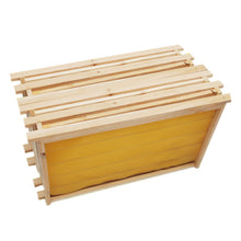 Load image into Gallery viewer, Beekeeping Tools, Standard Half-nest,Frame, Honeycomb, Frame and Honeybee Tools for Foundation