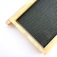 Load image into Gallery viewer, 480*230mm Wax Sprayed Plastic Nest Base with Wood Frame Beeswax Beehive Beehive Beekeeping