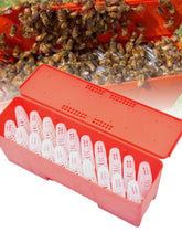 Load image into Gallery viewer, Wholesale Beekeeping Tools, New Mail Queen Bee Transport Box Set, Insect Free Cage