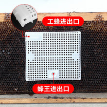 Load image into Gallery viewer, Wholesale Beekeeping Tools, New Button, Spleen, 5-color Plastic, Introduction To Bee Cage