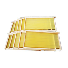 Load image into Gallery viewer, Beekeeping Tools, Standard Half-nest,Frame, Honeycomb, Frame and Honeybee Tools for Foundation