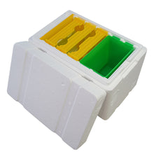Load image into Gallery viewer, 3 Box Plastic Feeder Foam Mini Bee Mating Box Beekeeping Beehive Wholesale
