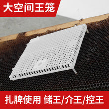 Load image into Gallery viewer, Wholesale Beekeeping Tools, New Button, Spleen, 5-color Plastic, Introduction To Bee Cage