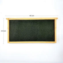 Load image into Gallery viewer, 480*230mm Wax Sprayed Plastic Nest Base with Wood Frame Beeswax Beehive Beehive Beekeeping