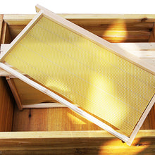 Load image into Gallery viewer, Beekeeping Tools, Standard Half-nest,Frame, Honeycomb, Frame and Honeybee Tools for Foundation