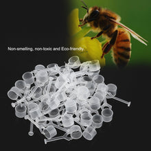 Load image into Gallery viewer, Queen's Incubator, Queen's Jelly Bar, Bee Feeder, Queen's Table Feeding Hive Wholesale 50pcs