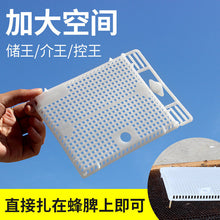 Load image into Gallery viewer, Wholesale Beekeeping Tools, New Button, Spleen, 5-color Plastic, Introduction To Bee Cage
