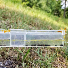 Load image into Gallery viewer, 10pcs Beekeeping Beehive Beetle Trap Beetle Collector Beehive Nest Trap Hive Beetle Trap