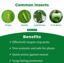 Load image into Gallery viewer, Highly Effective Pesticide Insecticide Deltamethrin 25%WP Powder Deltamethrin 2.5
