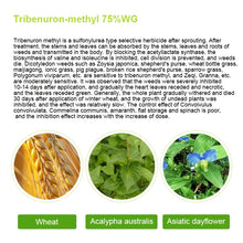 Load image into Gallery viewer, Agrochemicals Weed Control tribenuron-methyl 75%Wdg 10%Wp
