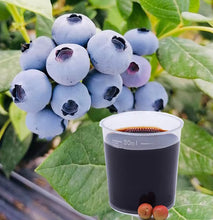 Load image into Gallery viewer, Gibberellic Acid A4 A7 Plus 6BA Ga4 A7  Fruit Larger Plant Hormone
