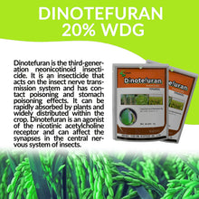 Load image into Gallery viewer, Insecticide Dinotefuran 20%WDG Pest Killer CAS 165252-70-0
