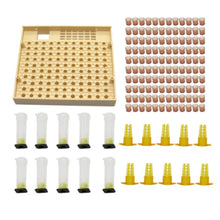 Load image into Gallery viewer, Bee-keeping Tools, Queen Bee Boxes, Queen Bee Tables, Insect-moving Needles, Queen Bee Cultivation Boxes, Queen Bee Protective Covers, Queen Bee Cages
