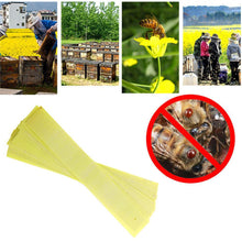 Load image into Gallery viewer, Bee Medicine Fluoramine Cypermethrin Strip Bee Medicine Bee Mite Medicine 20 Tablets
