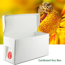 Load image into Gallery viewer, Plastic Folding Hive, Separate Bee Rearing, Queen Bee, Mating Pollination, Pollination Box, Bee Rearing Tools
