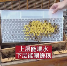 Load and play video in Gallery viewer, Beekeeping Tools Plastic Powder Feeder Bee Feeder Porous Feeder Feeds Bee Pollen Feed To Raise Bees.
