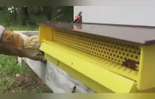 Load and play video in Gallery viewer, European-style Plastic Dusting Box Beekeeping Tool for Collecting Bee Pollen Honeycomb Nest Foundation
