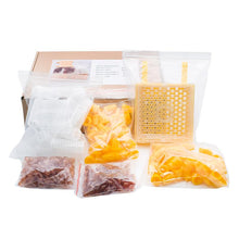 Load image into Gallery viewer, Beekeeping Jenter Queen Rearing Incubation System Box Cage Complete Jenter Queen Rearing Kit Bee Breeding Kit Bee Tools Supplies
