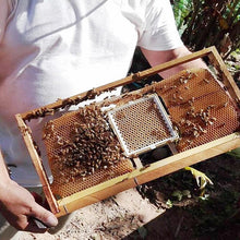 Load image into Gallery viewer, Beekeeping Jenter Queen Rearing Incubation System Box Cage Complete Jenter Queen Rearing Kit Bee Breeding Kit Bee Tools Supplies
