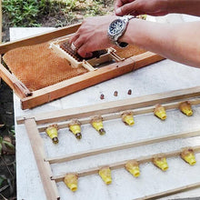 Load image into Gallery viewer, Beekeeping Jenter Queen Rearing Incubation System Box Cage Complete Jenter Queen Rearing Kit Bee Breeding Kit Bee Tools Supplies
