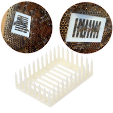 Load image into Gallery viewer, Beekeeping Tools, Plastic Square Buttons, Caging for The Queen Bee, Clasping for The Queen Bee, Bee Cultivation
