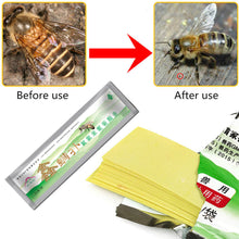 Load image into Gallery viewer, Bee Medicine Fluoramine Cypermethrin Strip Bee Medicine Bee Mite Medicine 20 Tablets
