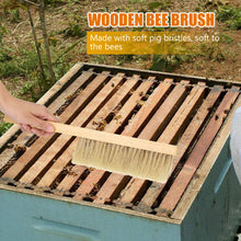 Load image into Gallery viewer, Beekeeping Equipment, Tools, Double Rows of Bee Brushes, Bristles and Horsetails with Plastic Handles.
