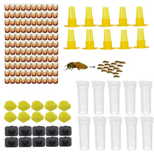Load image into Gallery viewer, Bee-keeping Tools, Queen Bee Boxes, Queen Bee Tables, Insect-moving Needles, Queen Bee Cultivation Boxes, Queen Bee Protective Covers, Queen Bee Cages

