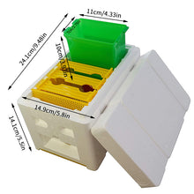 Load image into Gallery viewer, 3 Box Plastic Feeder Foam Mini Bee Mating Box Beekeeping Beehive Wholesale
